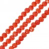 Corail