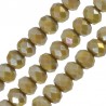 Champagne Green AB