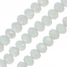 Champagne White