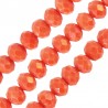 Coral Orange