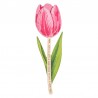 Bianco/ Rosa/ Multicolore