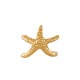 Anillo de Acero Inoxidable 304 con Estrella de Mar