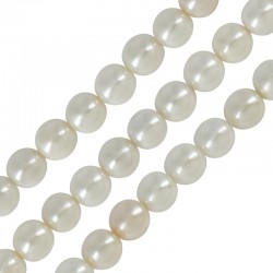 Perle de Nacre sur Perle en Coquillage Naturel Ronde 6 mm (~67 Pièces)