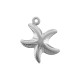 Ανοξείδωτο Ατσάλι 304 Μοτίφ Αστερίας 14x16mm/3.6mm