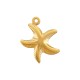 Stainless Steel 304 Charm Starfish 14x16mm/3.6mm