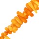 Copeaux Irréguliers de Bambou Corail (~6-13 mm (~110 Pièces) Ø~0.3 mm