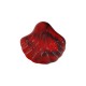 Perle acrylique en forme de coquillage 30 x 33 mm / 14 mm Ø 3 mm