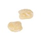Cuenta Acrílica con Forma de Concha 30 x 33 mm/14 mm Ø 3 mm