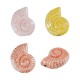 Enameled Ceramic Slider Shell 22x18mm Ø2.2mm