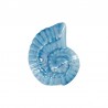 Turquoise foncé