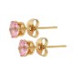 Boubles d'Oreilles avec Cristal 6.7mm en Acier Inoxydable 304