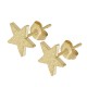 Boucles d'Oreilles Étoile en Acier Inoxydable 304