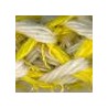 Beige/Jaune