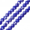 Blue Opac