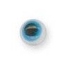 Blanc/Turquoise