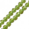 Verde Oliva