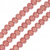 Corallo chiaro