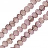 Beige rosa