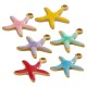 Charm Étoile de Mer en Acier Inoxydable 304 Émaillé 11 x 13 mm/1,6 mm