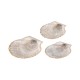 Scallop Shell Pendant Plated Various Sizes~4-4.5cm