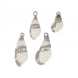 Miter Shell Pendant Plated Many Sizes ~1.8-2.5cm