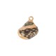 Scotch Shell Charm Plated Various Sizes ~1.8-2cm
