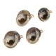 Scotch Shell Charm Plated Various Sizes ~1.8-2cm