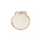 Scallop Shell Pendant Plated Many Sizes ~4-4.5cm