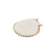 Scallop Shell Pendant Plated Many Sizes ~4-4.5cm
