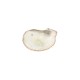 Scallop Shell Pendant Plated Many Sizes ~4-4.5cm