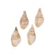 Conch Shell Pendant Plated Various Sizes ~2-2.5cm