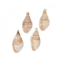 Conch Shell Pendant Plated Various Sizes ~2-2.5cm