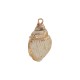 Conch Shell Pendant Plated Various Sizes ~1.8-2.5cm