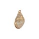 Conch Shell Pendant Plated Various Sizes ~1.8-2.5cm