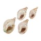 Conch Shell Pendant Plated Various Sizes ~1.8-2.5cm
