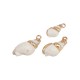 Conch Shell Pendant Plated Various Sizes ~1.5-2.2cm