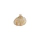 Scallop Shell Pendant Plated Various Sizes ~2-2.5cm