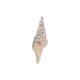 Miter Shell Pendant Plated Various Sizes ~3-3.5cm