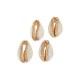 Cowrie Shell Connector Various Sizes ~1.8-2cm