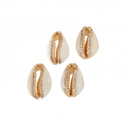 Cowrie Shell Connector Various Sizes ~1.8-2cm