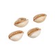 Connettore a Conchiglia Cowrie Placcato, varie misure ~1,8-2 cm