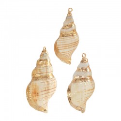 Ciondolo in Conchiglia Miter Placcato, varie misure ~3,5-4 cm