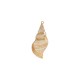 Miter Shell Pendant Plated Various Sizes ~3.5-4cm