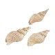 Miter Shell Pendant Plated Various Sizes ~3.5-4cm