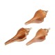 Ciondolo Conchiglia Fox Counch a Strisce Placcato, varie dimensioni ~5-6 cm