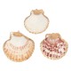 Ciondolo con Conchiglia Scallop placcato, varie misure ~4,5-5,5 cm