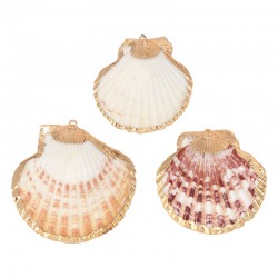 Ciondolo con Conchiglia Scallop placcato, varie misure ~4,5-5,5 cm