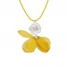 Giallo/ Argento
