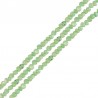 Menthe