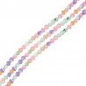 Light Colors Multi